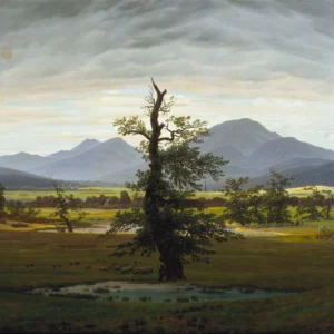 The Lonely Tree, Still Standing
